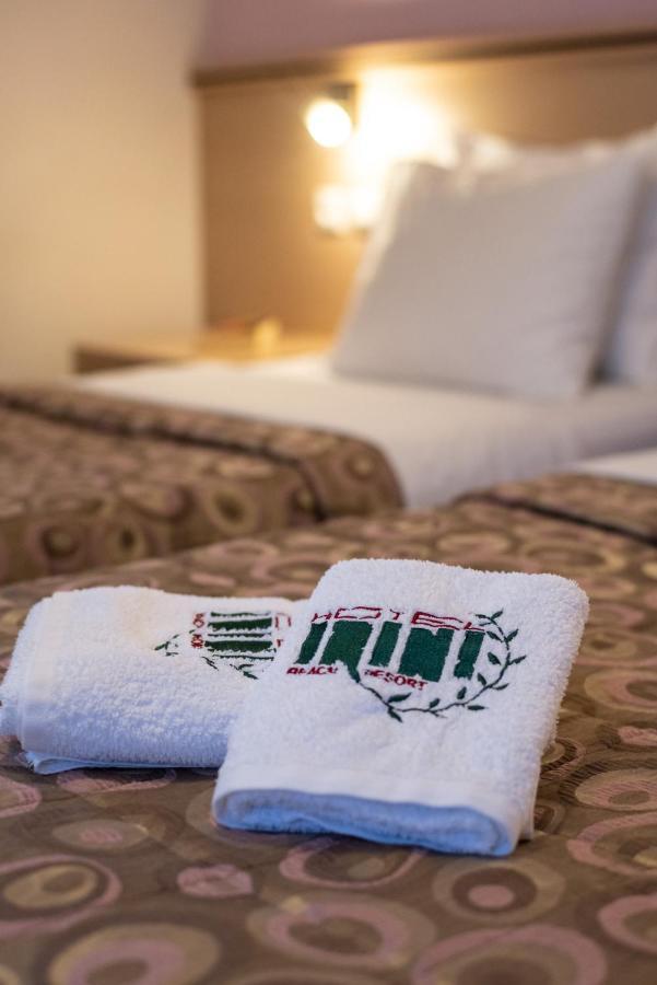 Irini Hotel Afiartis