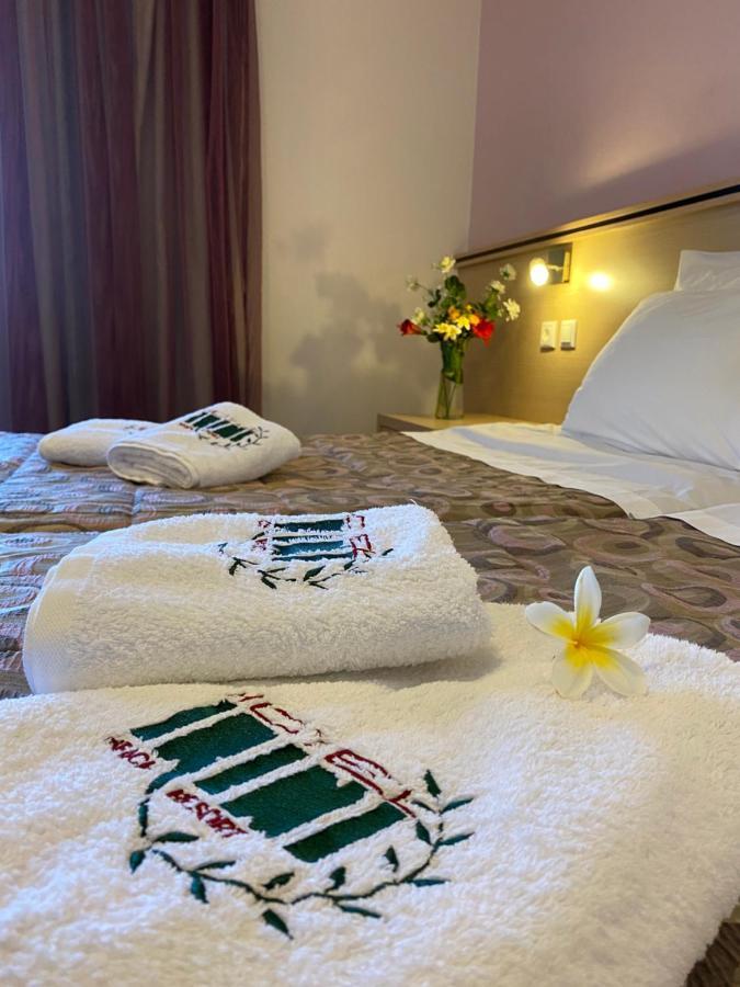 Hotel Irini Afiartis